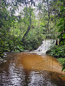 acari_085.jpg